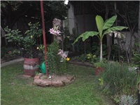 84432af9-Picture 003.jpg